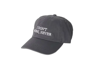 Do Nothing Congress "I DON’T WORK NEVER" "Gray"