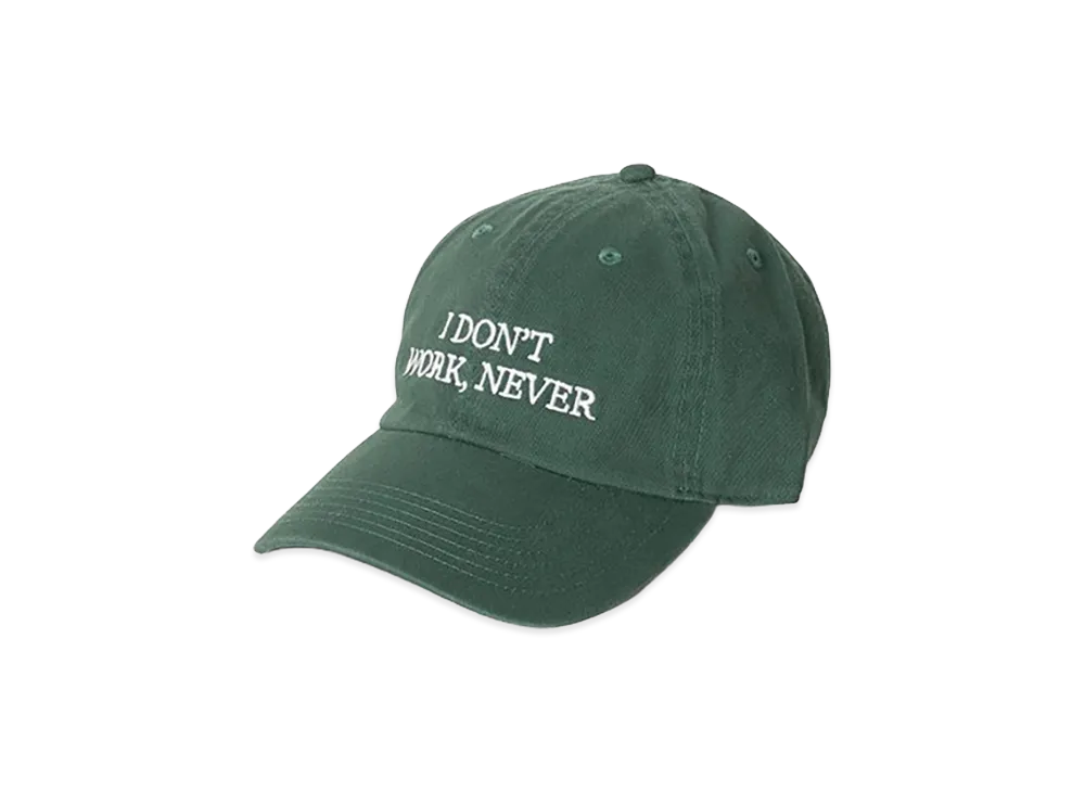 Do Nothing Congress "I DON’T WORK NEVER" "Green"