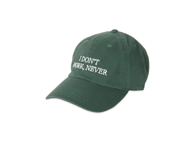 Do Nothing Congress "I DON’T WORK NEVER" "Green"