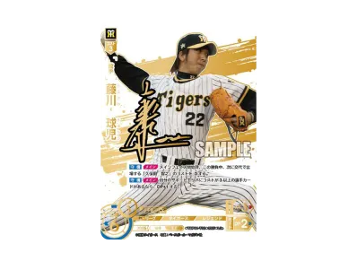 ドリームオーダー 球団ブースター「阪神タイガース 猛虎の雄姿 ドリームオーダー 球団ブースター「阪神タイガース 猛虎の雄姿
