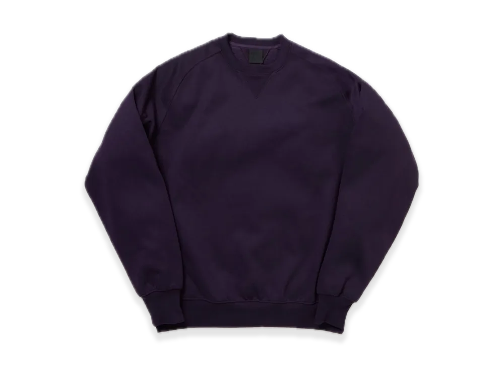 DAIWA PIER39 Tech Sweat Crew Freedom Sleeve "Purple"