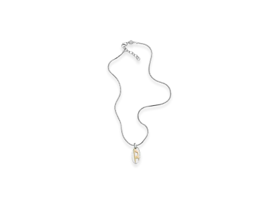 Diesel Dx1421 Necklace "Silver"