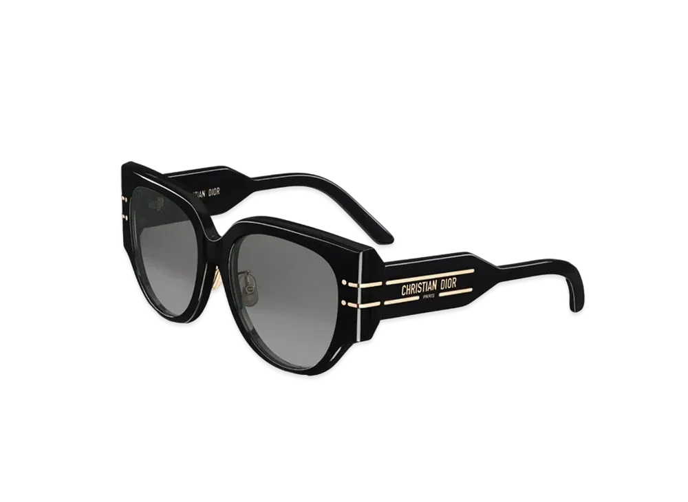 Dior DiorSignature R2F Rounded Sunglasses "Black"