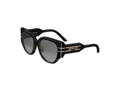 Dior DiorSignature R2F Rounded Sunglasses "Black"