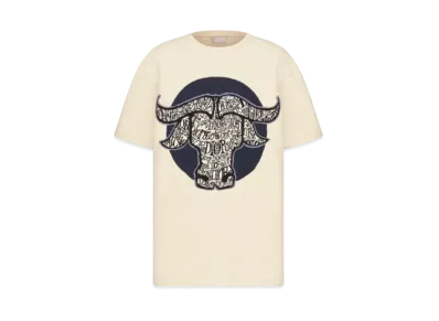 Dior x Shawn Stussy Oversized T-Shirt (SS21) "White"