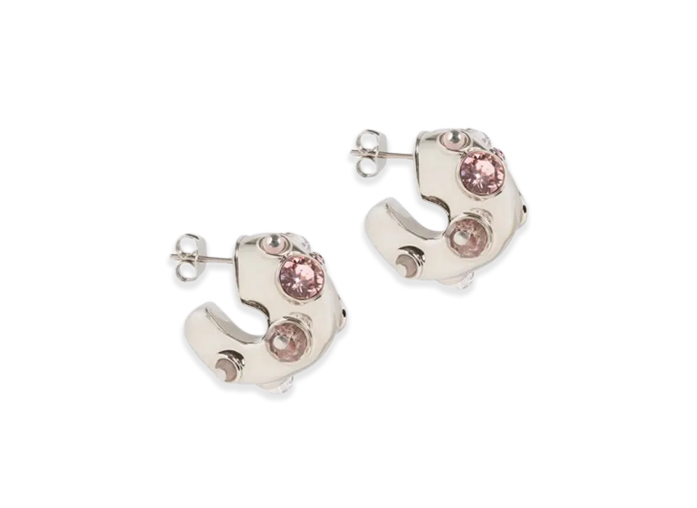 DRIES VAN NOTEN Women's Loop Earrings "Pink"