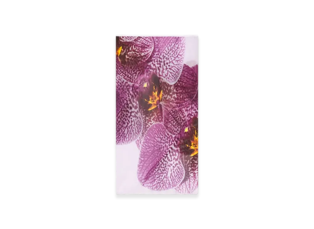 DRIES VAN NOTEN Women's Printed Silk Skirt "Fuchsia"
