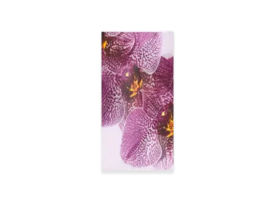 DRIES VAN NOTEN Women's Printed Silk Skirt "Fuchsia"