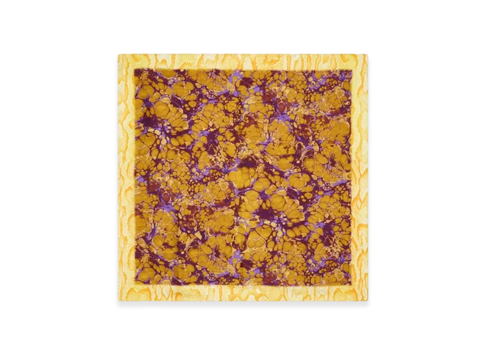 DRIES VAN NOTEN Women's Printed Silk Scarf "Ocra"