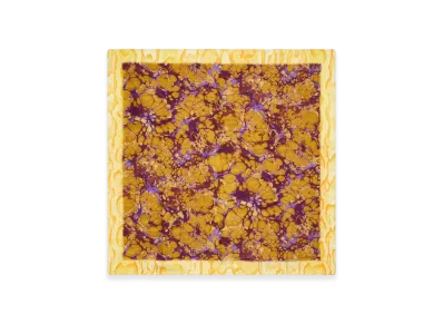 DRIES VAN NOTEN Women's Printed Silk Scarf "Ocra"