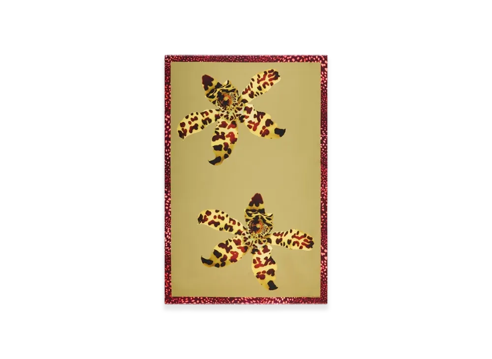 DRIES VAN NOTEN Women's Printed Pareo "Mustard"