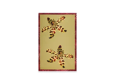 DRIES VAN NOTEN Women's Printed Pareo "Mustard"