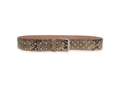 DRIES VAN NOTEN Women's Studded Leather Belt "Beige"