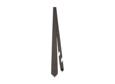 DRIES VAN NOTEN Classic Wool Silk Tie "Rust"