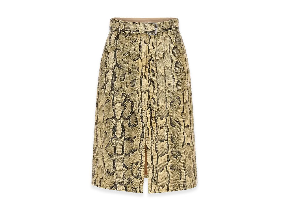 DRIES VAN NOTEN Women's Skirts "Beige"