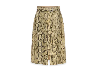 DRIES VAN NOTEN Women's Skirts "Beige"
