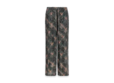 DRIES VAN NOTEN Women's 'Puvis' Pants "Multi"