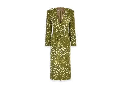 DRIES VAN NOTEN Women's 'Dohana' Dress "Green"