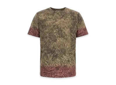 DRIES VAN NOTEN Regular Fit T-Shirt "Multicolor"