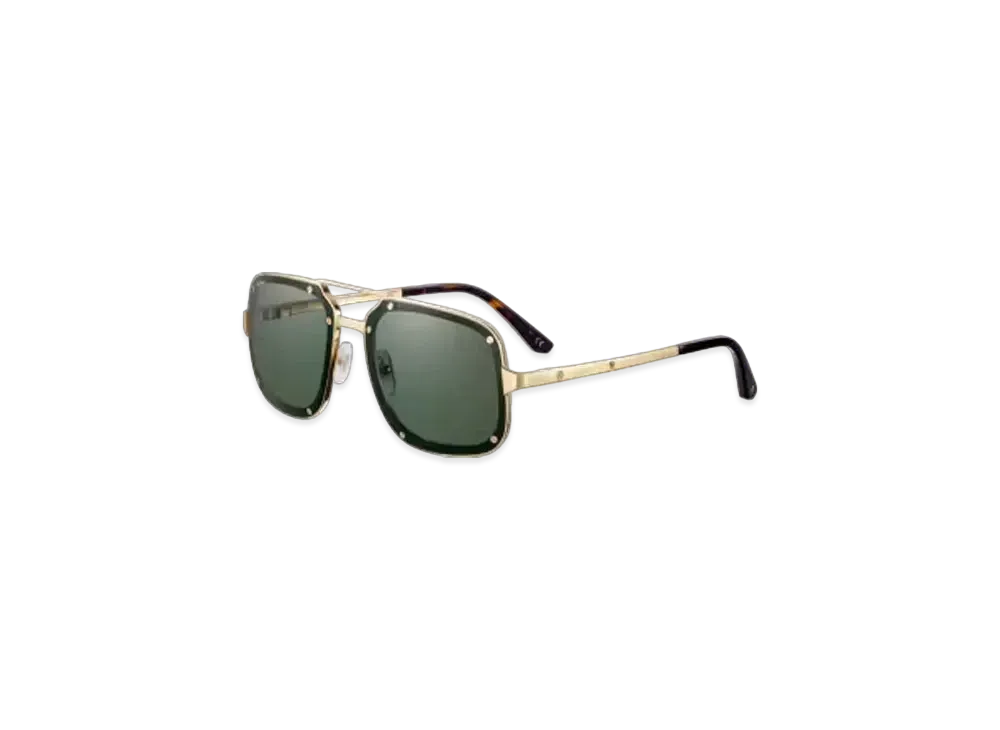 Cartier Santos de Cartier Sunglasses "Gray"