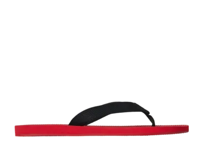 The Row Women's Dune Classic Sandal in Rubber "Scarlet"