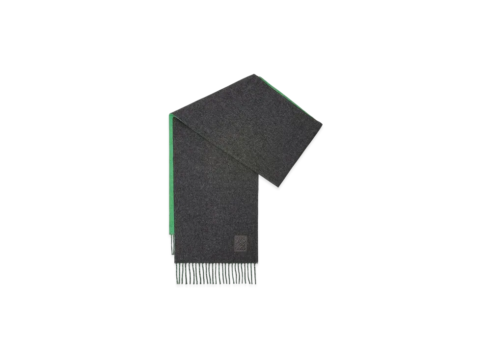 LOEWE Scarf "Dark Green/Green"