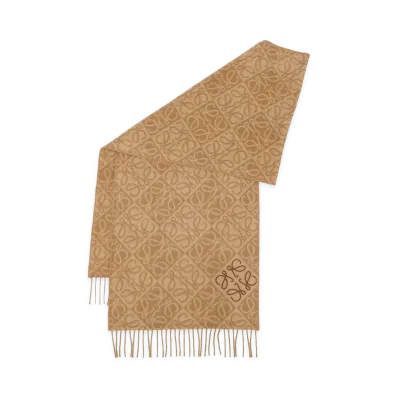 LOEWE Women's Scarfs "Brown"