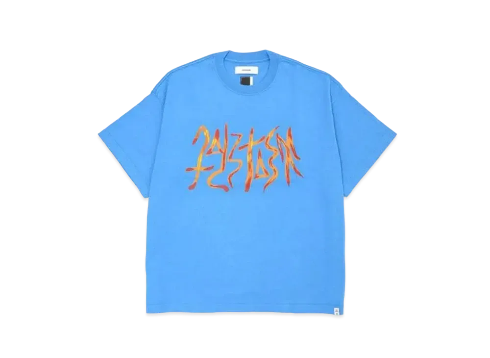 FACETASM Graphic Big Tee "Light Blue"