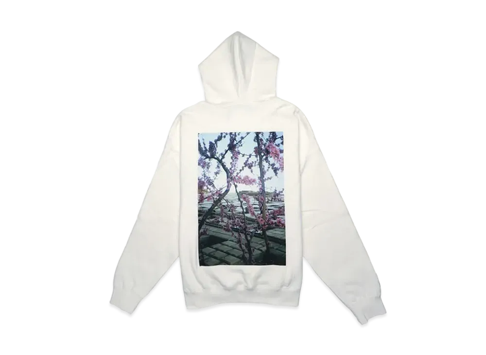 FEAR OF GOD ESSENTIALS Photo Pullover Hoodie "White"