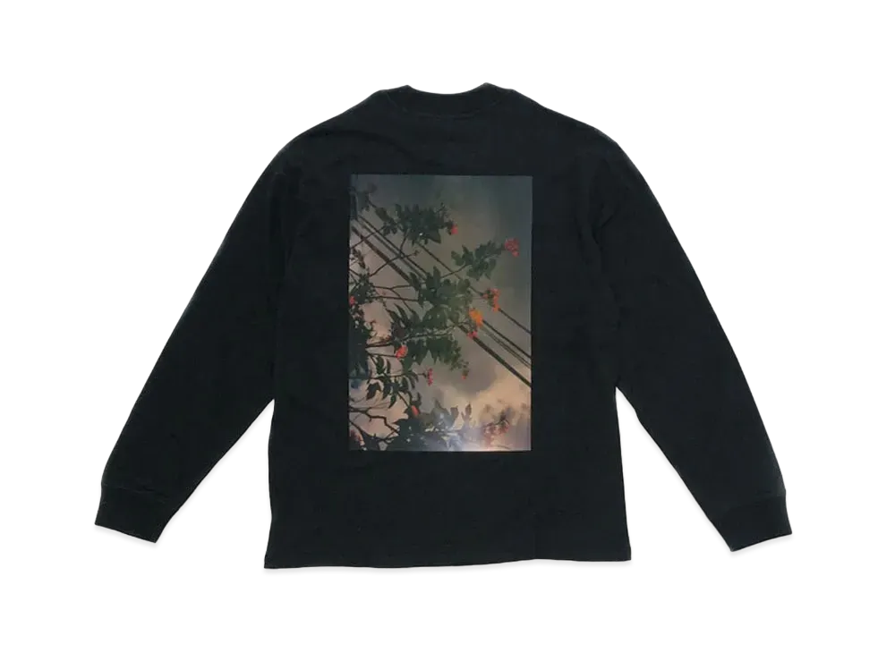 FEAR OF GOD ESSENTIALS Long Sleeve Photo T-shirt "Black"