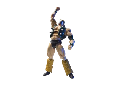 S.H.Figuarts Neptuneman