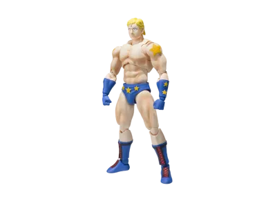 S.H.Figuarts Terryman