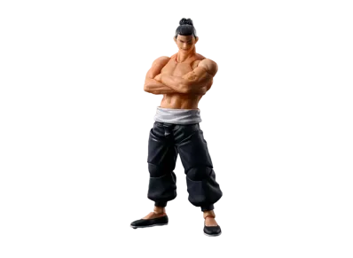 S.H.Figuarts Aoi Todo