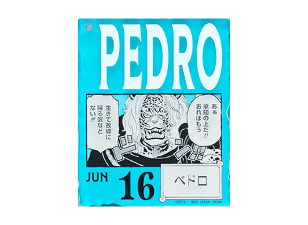 BANDAI "Ichiban Kuji" -ONE PIECE BASE SHOP Lottery 366DAYS OF BIRTHDAYS- Birth Month January-March Me Colors Acrylic Block Charm Prize 6/16 Pedro
