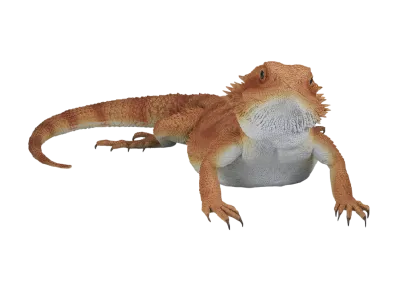 BANDAI "Ichiban Kuji" -Reptiles & Amphibians ~Tiny Friends~- A Prize Bearded Dragon Figure