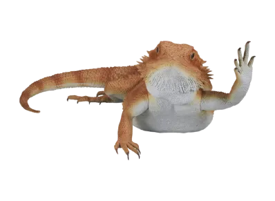 BANDAI "Ichiban Kuji" -Reptiles & Amphibians ~Tiny Friends~- Last One Prize Bearded Dragon Figure Arm Waving Ver.