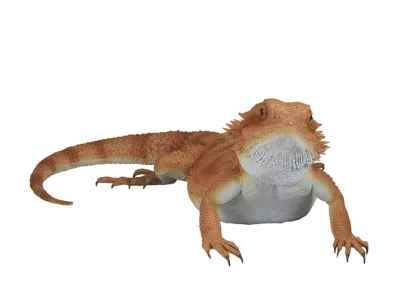 BANDAI "Ichiban Kuji" -Reptiles & Amphibians ~Tiny Friends~- A Prize Bearded Dragon Figure