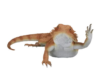 BANDAI "Ichiban Kuji" -Reptiles & Amphibians ~Tiny Friends~- Last One Prize Bearded Dragon Figure Arm Waving Ver.