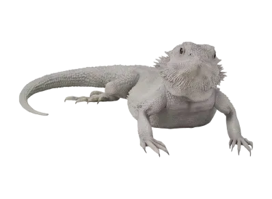 BANDAI "Ichiban Kuji" -Reptiles & Amphibians ~Tiny Friends~ vol.2- B Prize Bearded Dragon Figure Hypo Zero