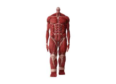 BANDAI "Ichiban Kuji" -Attack on Titan ~I'll take down the Beast Titan~- Last One Prize Colossal Titan MEGAIMPACT
