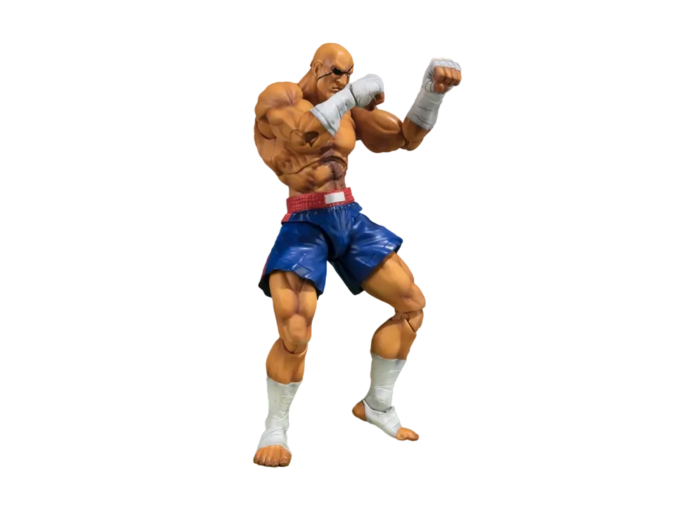 BANDAI "S.H.Figuarts" -Street Fighter series- SAGAT