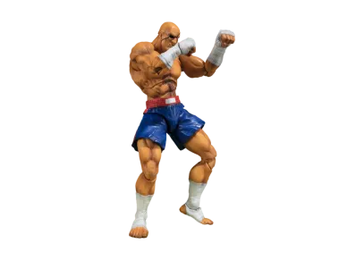 BANDAI "S.H.Figuarts" -Street Fighter series- SAGAT