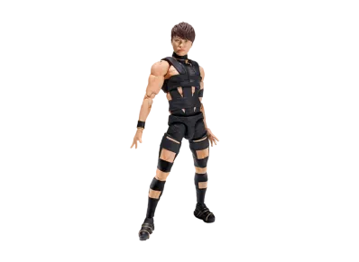 BANDAI "S.H.Figuarts" T.M.Revolution