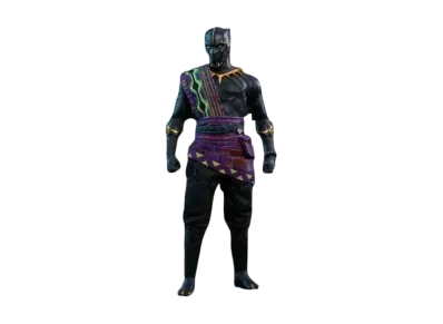 Hot Toys "Movie Masterpiece" -Black Panther- 1/6 Scale Fully Poseable Figure: T'Chaka