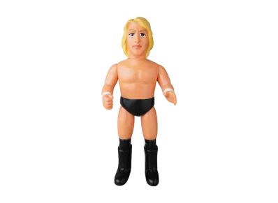 MEDICOM TOY "Sofvi Fighting Series" Yoshihiro Takayama