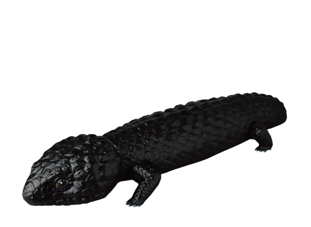 MEDICOM TOY / Anrakuansaku Four-Legged Lizard