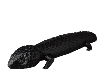 MEDICOM TOY / Anrakuansaku Four-Legged Lizard