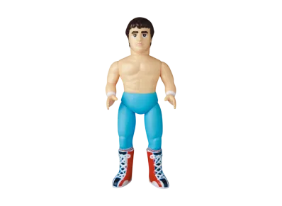 MEDICOM TOY "Sofvi Fighting Series" Davie Boy Smith