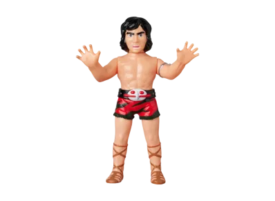 MEDICOM TOY "Toei Retro Sofvi Collection" -MASKED RIDER AMAZON- Daisuke Yamamoto (Transformation Pose Ver.)