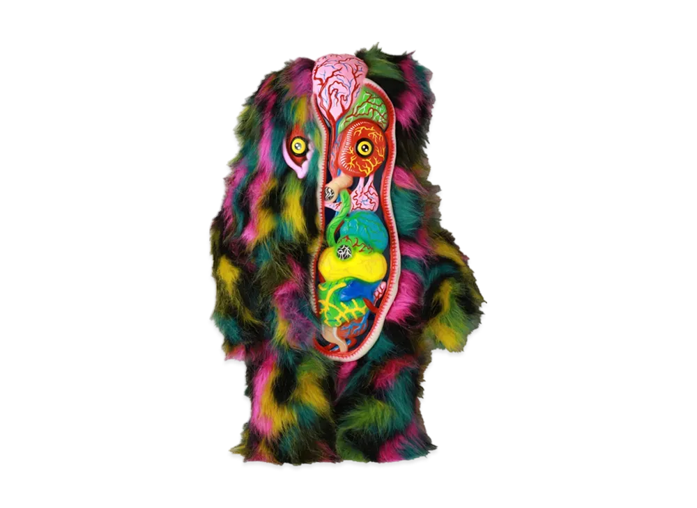 MEDICOM TOY / SHELTERBANK -Godzilla- Shelterbank Hedorah Complete Anatomy (3rd Season)